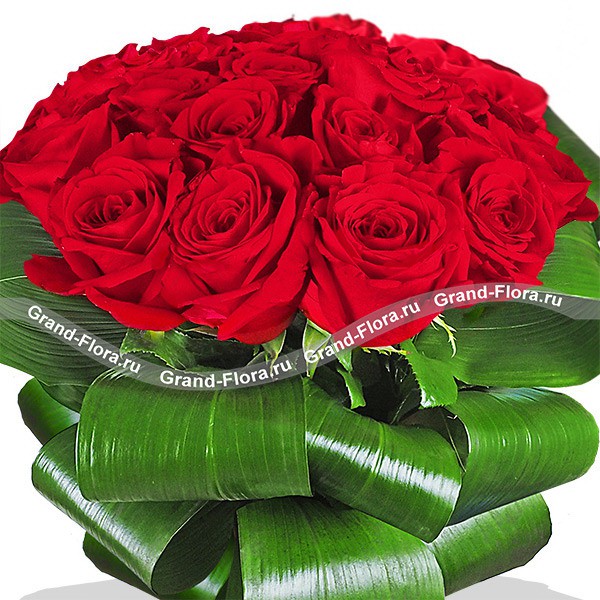Красные розы - Анжелика